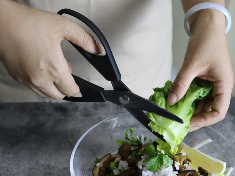 Kitchen Scissors